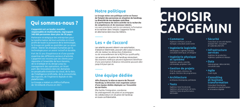 plaquette-mission-handicap-HD