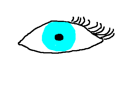 An Eye