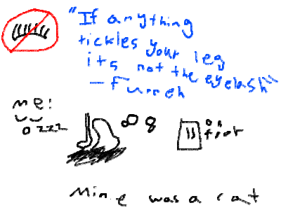 "If anything tickles you're leg its not the eyelas