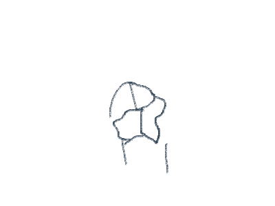 Animals that fly ideas please