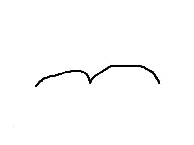 Poorly animated flying bird