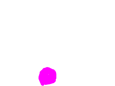 bonsy boll