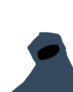 wash wash wash sahur