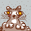someone please medicate this cat