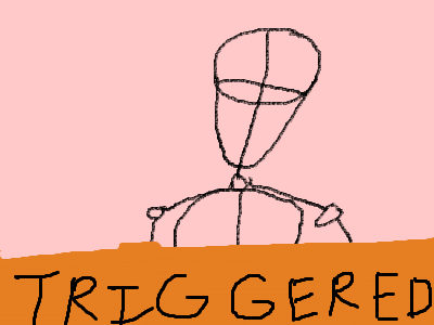 A SPIDER JUST GAVE BIRTH IN MY GARAGE