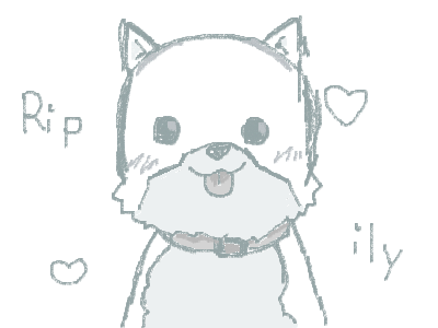 TOP TEN SADDEST ANIME DEATHS