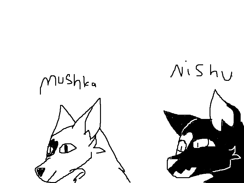 I changed my children into animals