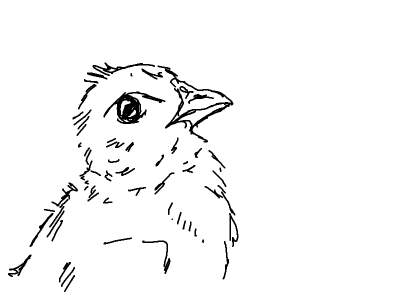 Easter chick's v snake