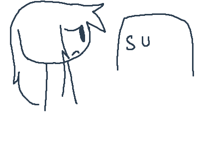 I miss sketchers united