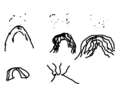 To a Boca hair