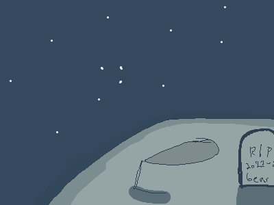 Desmond the moon bear!