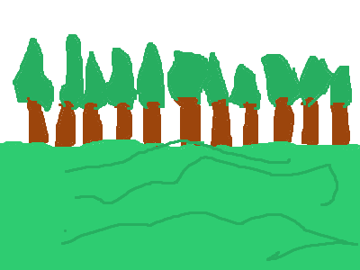 forest