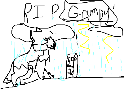 RIP Grumpy Cat! She Died 4 Years Ago..