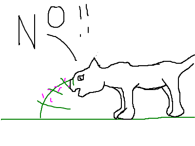 Crookedstar's accident