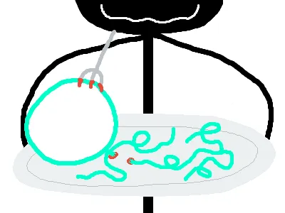 Chromaghetti