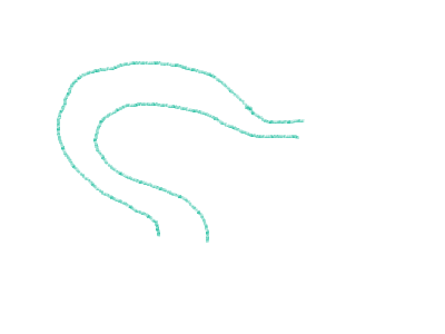 רודולף ברוסית