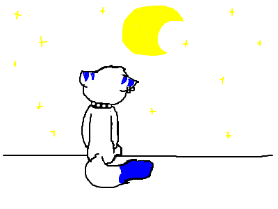 Inky lookin' at the moon.