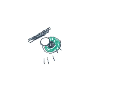 Blink test