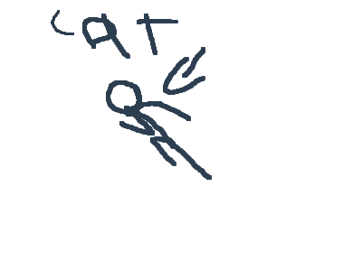 when your cat is running