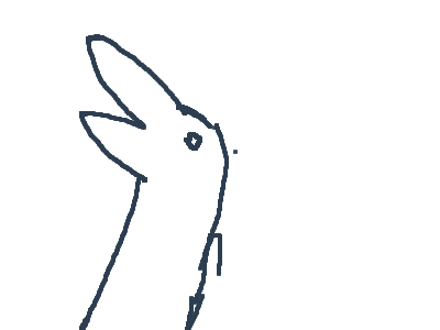 what do you see first