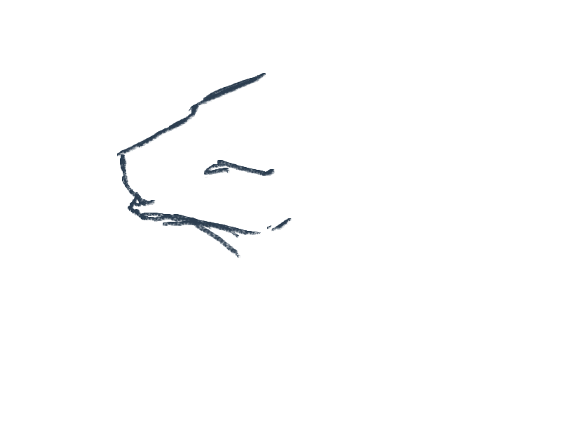 I have a better plan!