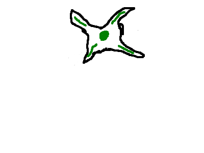 shiriken