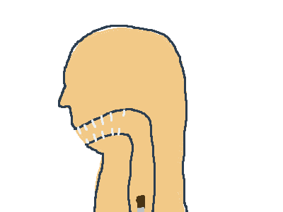 stamic digesgene PT:2