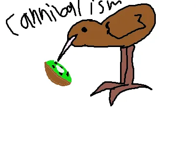 Kiwi eats a kiwi