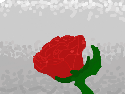 A Rose is a Rose