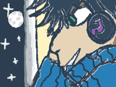 Looking at The Light sky