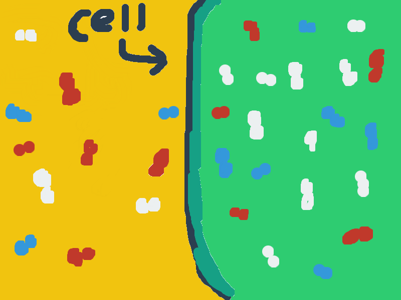 Cell Diffusion