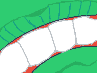 Blincc