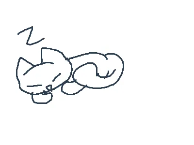 Sleeping cat