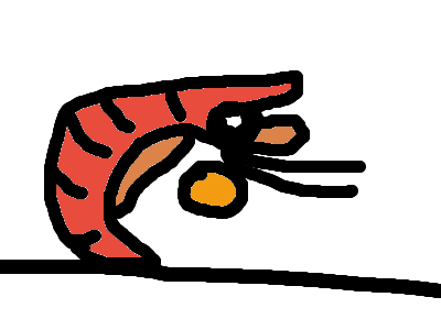 Cool shrimp playing basketball