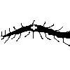 <untitled>