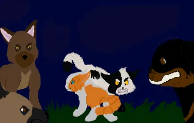 Bright heart and Swiftpaw