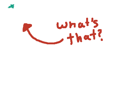 What's that?