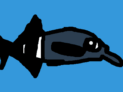 elephant fish