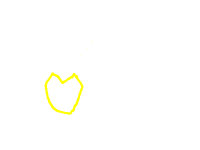 the bird