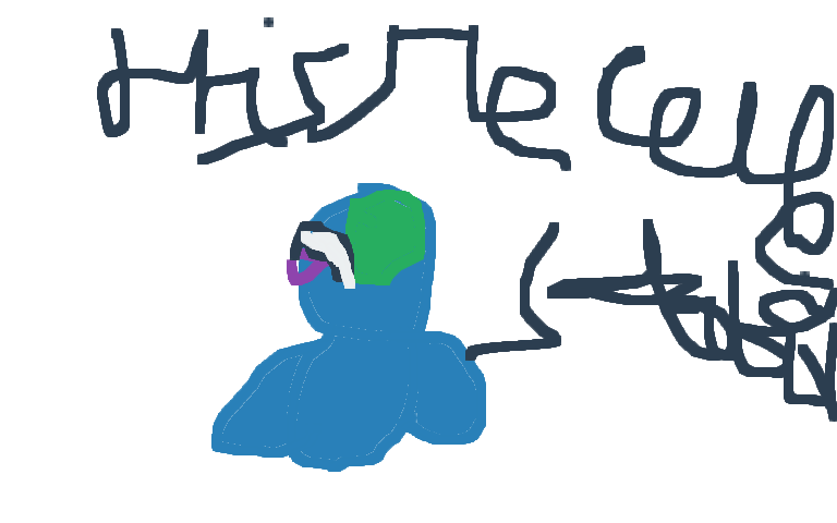 Pokemon sword team and all my pokemon