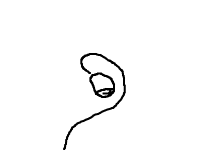 Rose: A short film