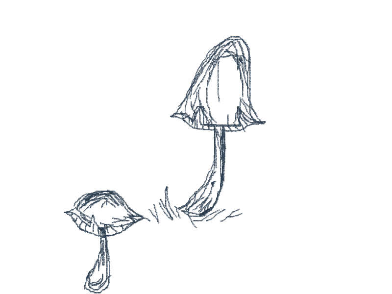 they look better in my sketchbook