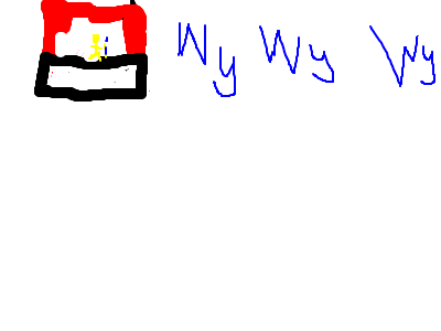 wy wyWY