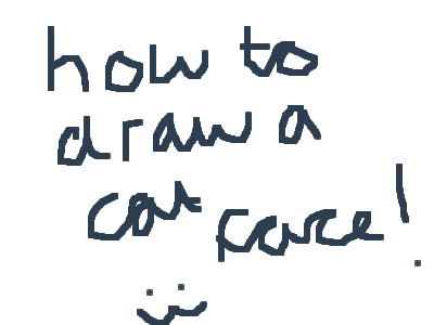 >>How to draw a cat face<<