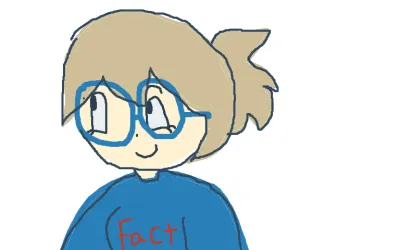 new sona 