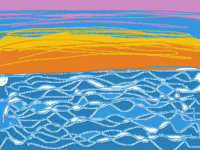 Dolphin in the sunset