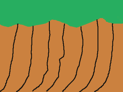 <dead koala=kaboom earth>