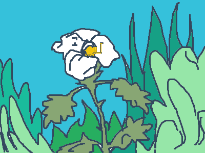 24/07/2021 Unfinished