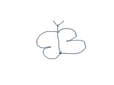 Animals  ideas please that fly