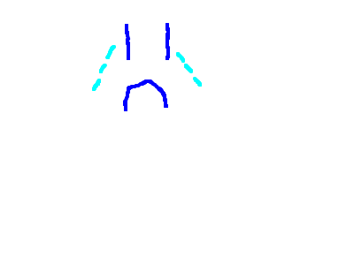 I don't know how to use this! Someone please help 